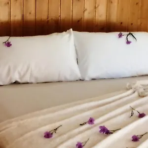 Caseta Rovira Сasa de vacaciones
